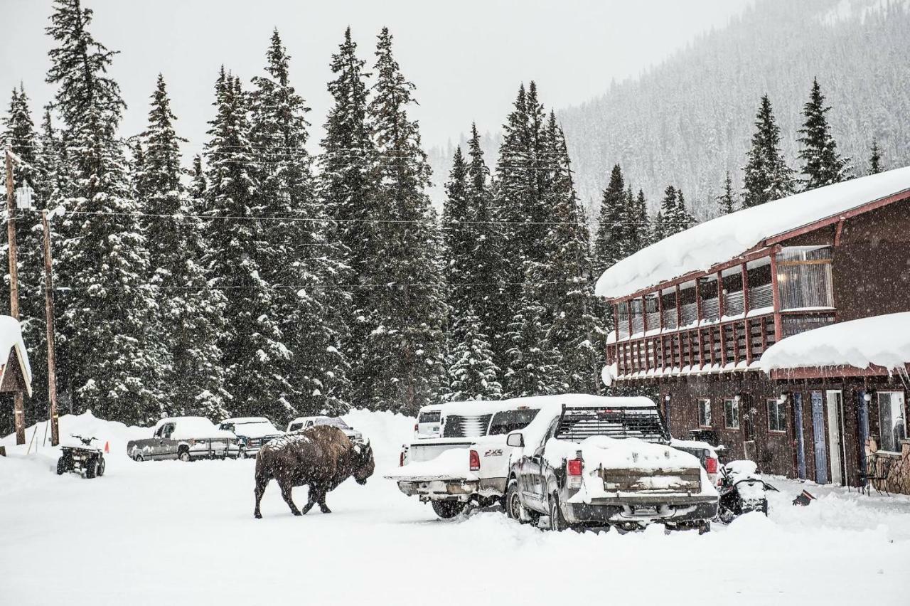 High Country Motel And Cabins Кук Сити Екстериор снимка